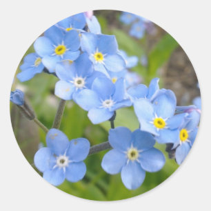 Forget Me Not Sticker
