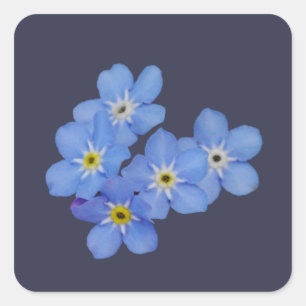 Forget Me Not Sticker