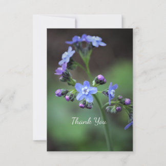 Forget-Me-Not   Thank You Card