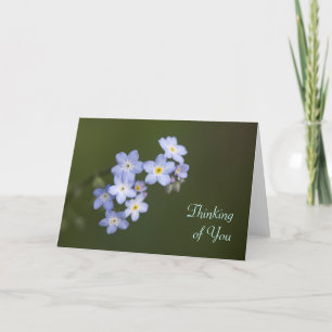 Forget-Me-Not, Thinking of You Card