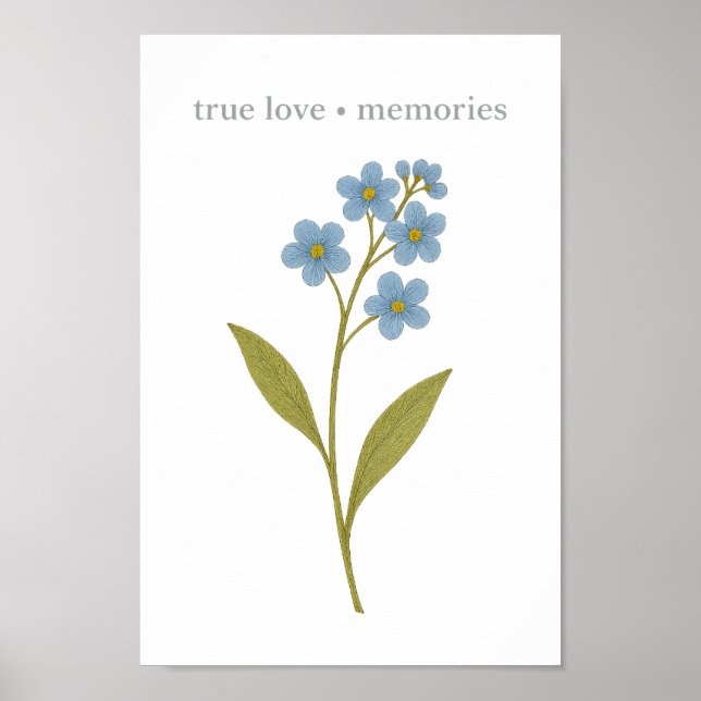 Forget-me-not — True love, memories  Poster (Front)