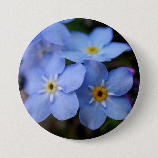 Forget Me Nots Blue Flowers 7.5 Cm Round Badge (Front)
