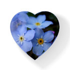 Forget Me Nots Blue Flowers