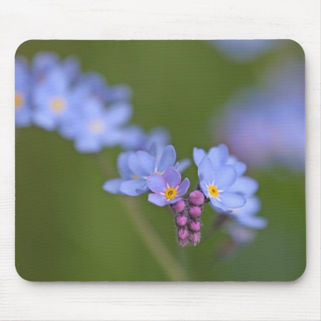 Forget Me Nots Mouse Mat (Front)