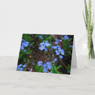 Forget-Me-Nots Notecard