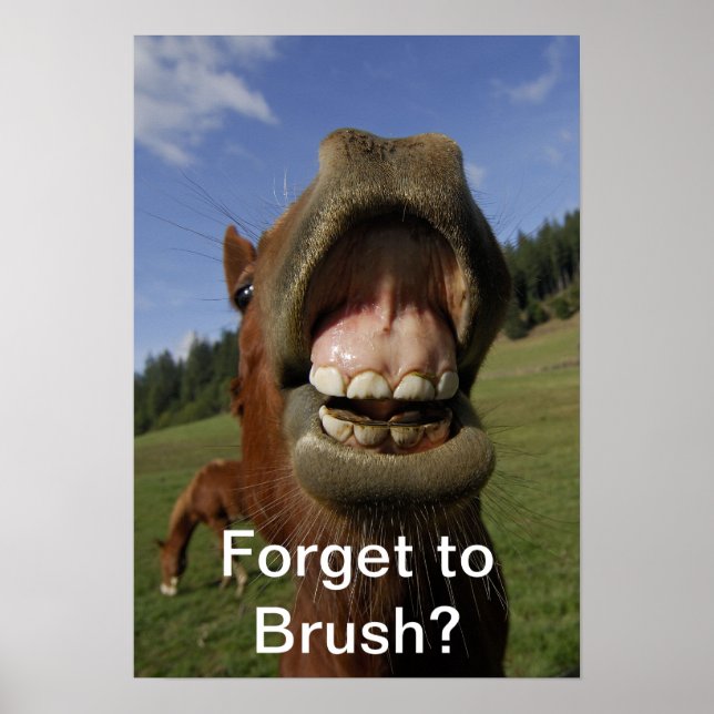 Forget to Brush? Poster (Front)