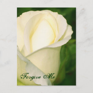 Forgive Me/ Any Occasion_Postcard Postcard