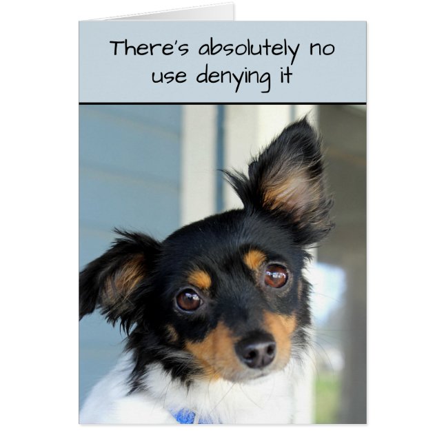 Forgive Me Doggie Cuteness Card (Front)