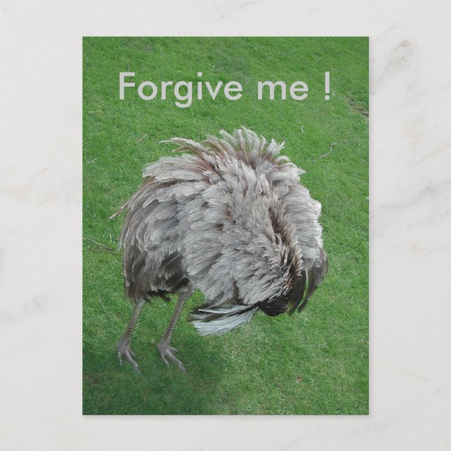 Forgive me ! postcard (Front)