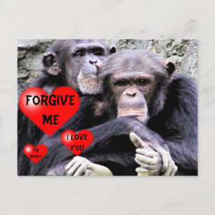 Forgive me,Sorry_ Postcard