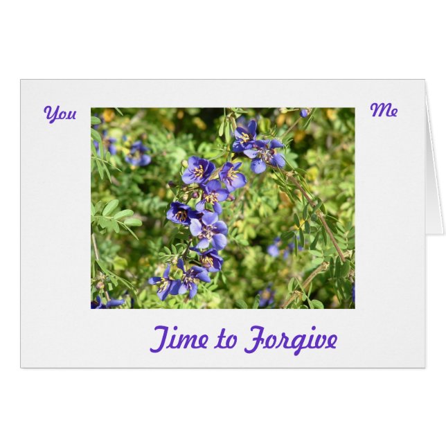 Forgiveness Card (Front Horizontal)