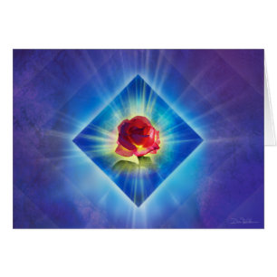 Forgiveness Day Rose