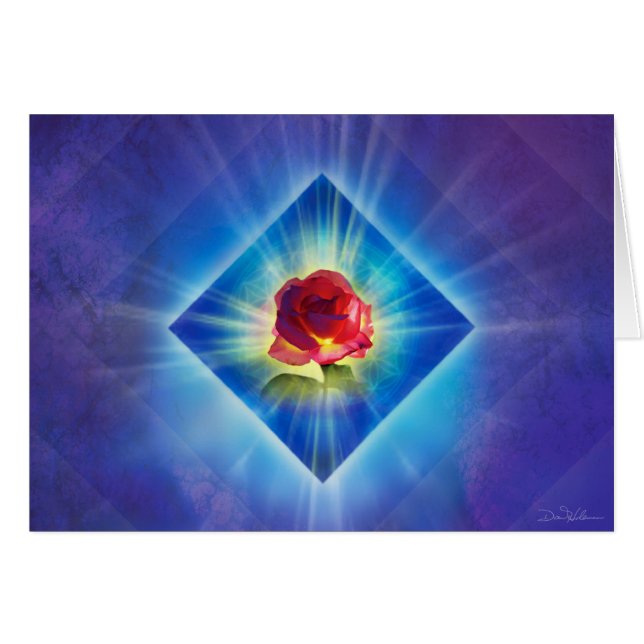 Forgiveness Day Rose (Front Horizontal)