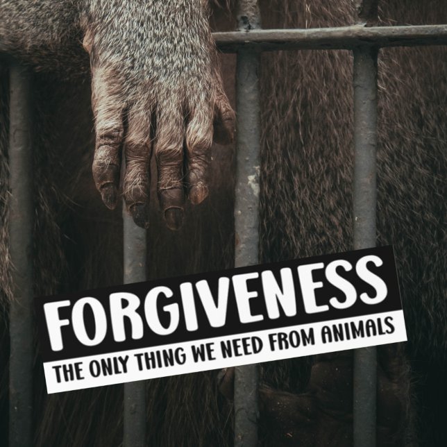Forgiveness, The Only Thing We Need From Animals,  Bumper Sticker (Creator Uploaded)