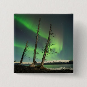 Forgotten Spruce Aurora 15 Cm Square Badge