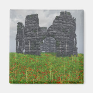 Forgotten Strife Magnet