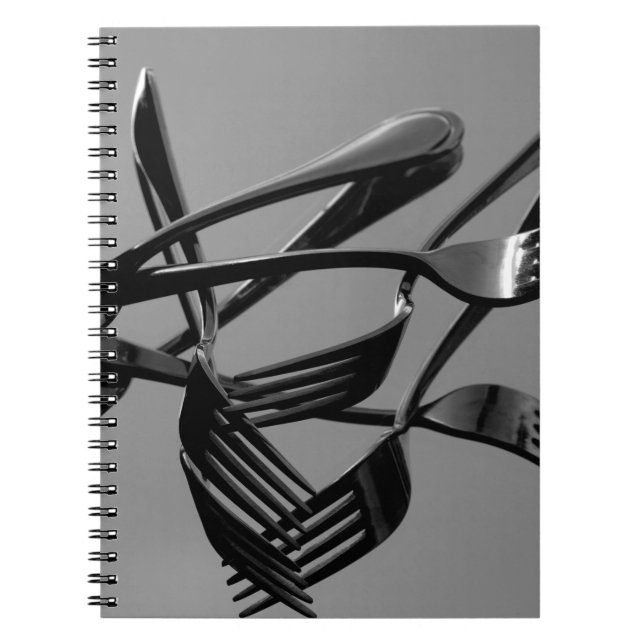 Fork Levitation Notebook (Front)