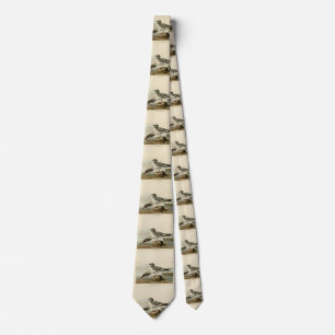 Fork-tailed Gull from Audubon's Birds of America Tie