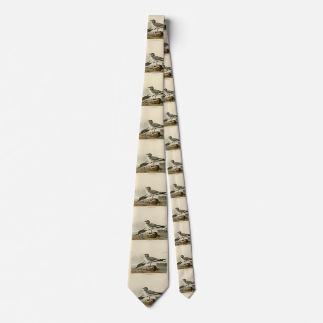 Fork-tailed Gull from Audubon's Birds of America Tie (Front)