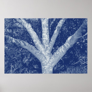 Forked Branches - Cyanotype Effect Poster