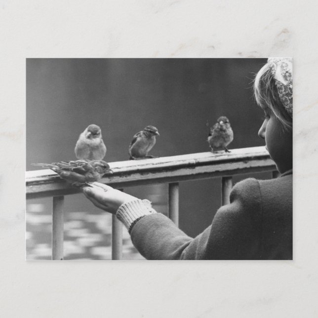 Form an orderly queue postcard (Front)