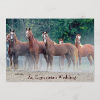 Formal An Equestrian Wedding Invitation Horse Love
