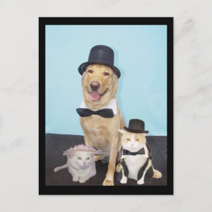 Formal Postcard