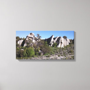 Formation at the City of Rocks National Reserve Canvas Print