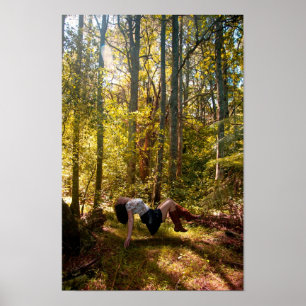 Forrest of Dreams Poster