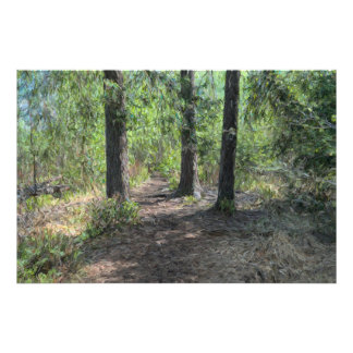 Forrest path photo print