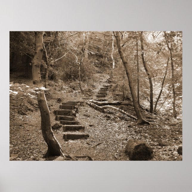 Forrest Steps XL Canvas Poster (Front)