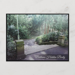 Forrested Staircase: Post Card