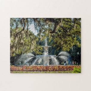 Forsyth Fountain #2 Savannah Jigsaw Puzzle