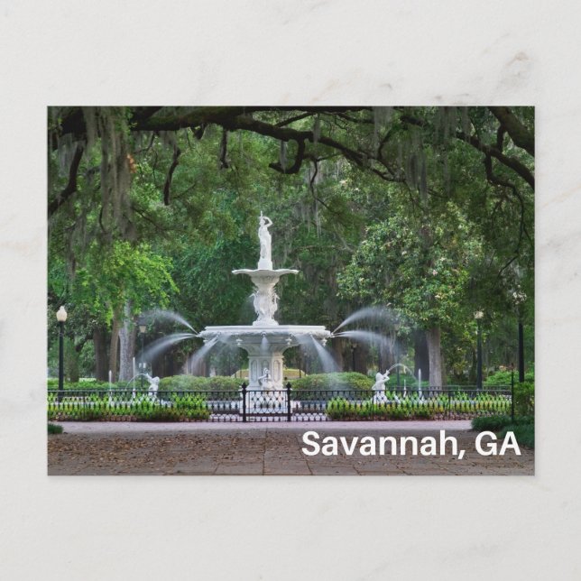 Forsyth Park Fountain in Savannah, GA  Postcard (Front)