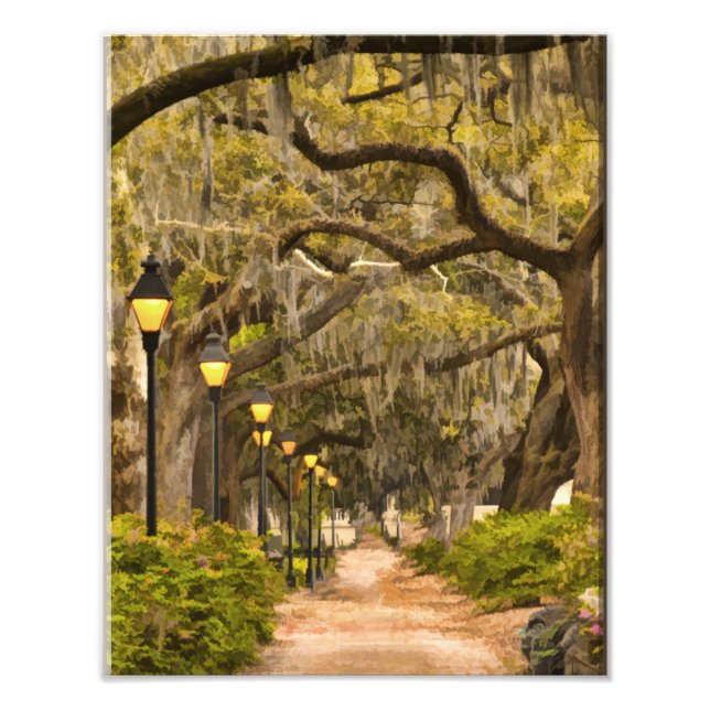 Forsyth Park - Photo, Savannah, Georgia (GA) USA Photo Print (Front)