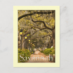 Forsyth Park - Savannah, GA Postcard