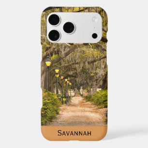 Forsyth Park, Savannah, Georgia Travel Photography