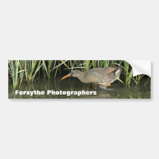 Forsythe Photographers Meetup Group Bumper Sticker