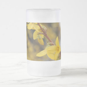 Forsythia, 迎春花, golden bells frosted glass beer mug