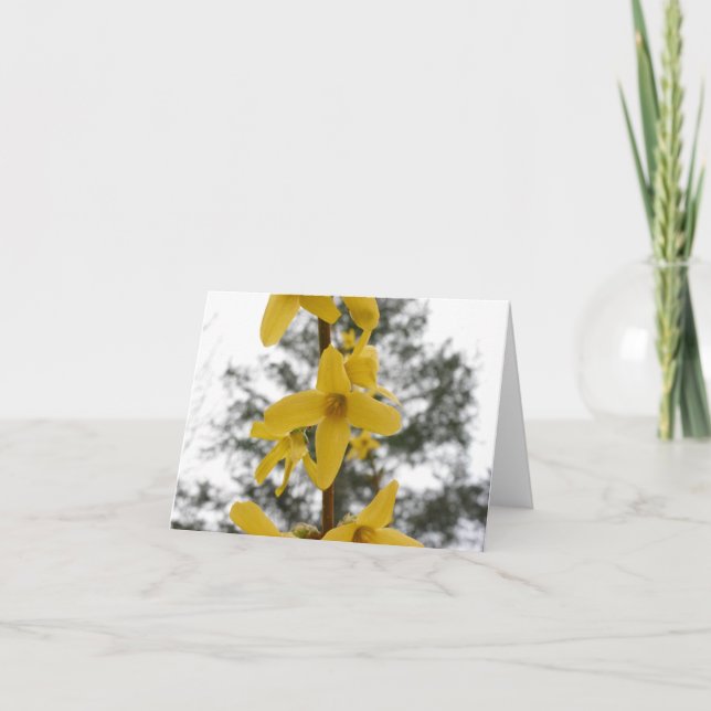 Forsythia blossom notecard (Front)