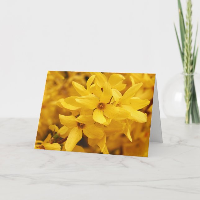 Forsythia Flower Greeting Card (Front)