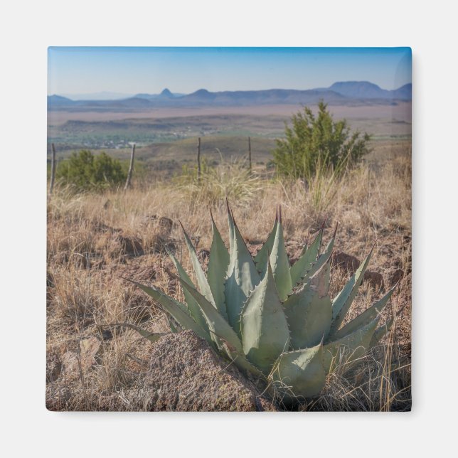 Fort Davis Mountains Agave Magnet (Front)
