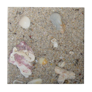 Fort Lauderdale Beach Sand, Shells, Coral Tile