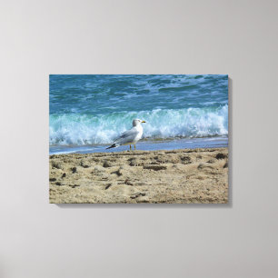 Fort Lauderdale, Florida Canvas Print