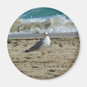 Fort Lauderdale, Florida Magnet