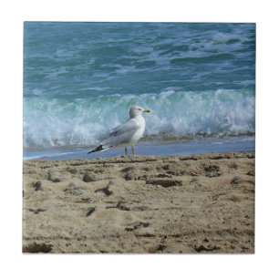Fort Lauderdale, Florida Tile