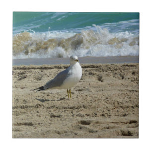 Fort Lauderdale, Florida Tile