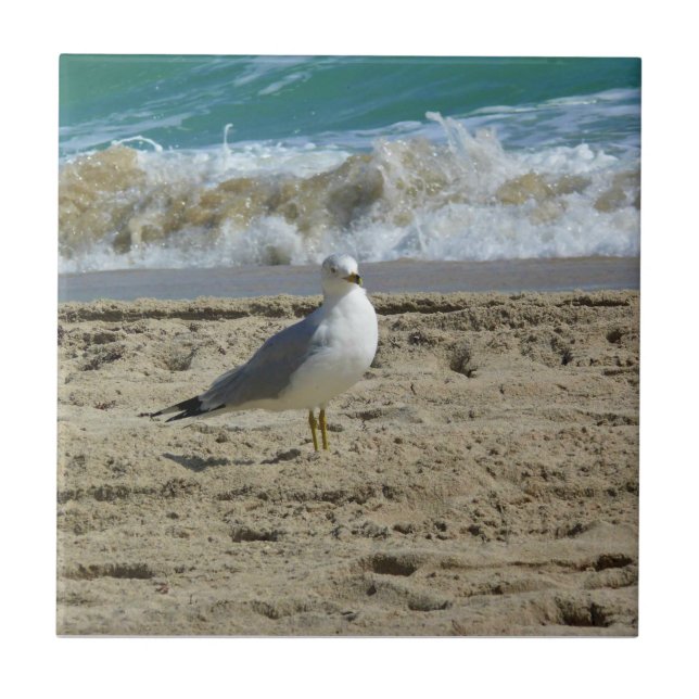 Fort Lauderdale, Florida Tile (Front)