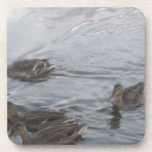 FORT RICHARDSON ALASKA COASTER