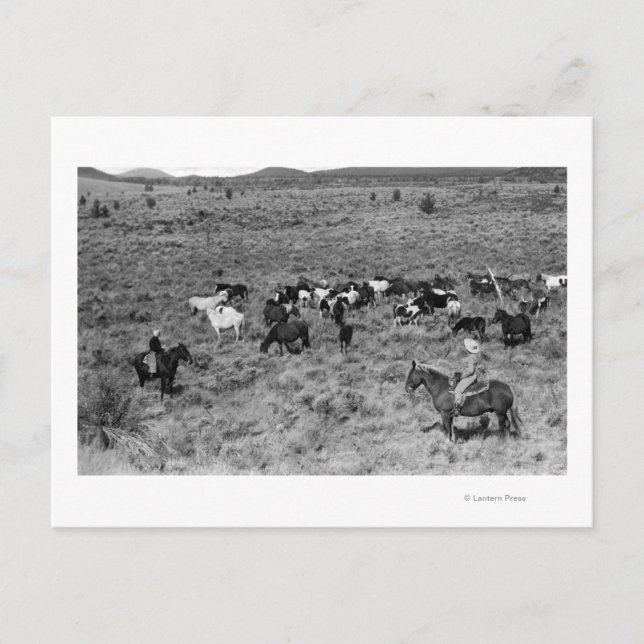 Fort Rock, Oregon Cowboy in the Devil's Garden Postcard (Front)